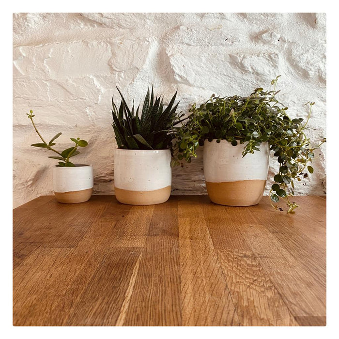Ceramic Plant Pot - small